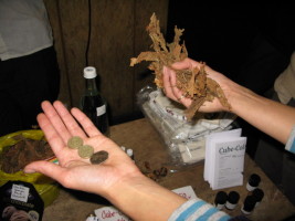 cubecolaparty2008 041.jpg