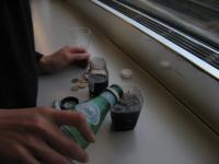 single_serving_cola_eurostar05.jpg