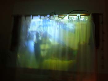 DSCF1372