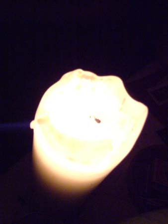 DSCF1993