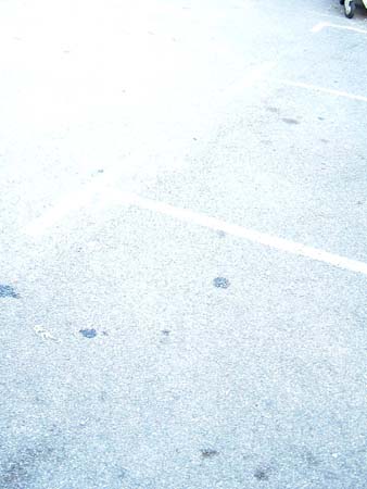 DSCF2482