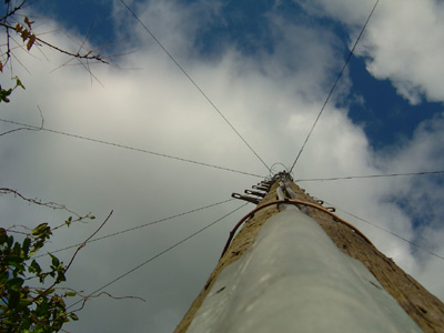 DSCF4915