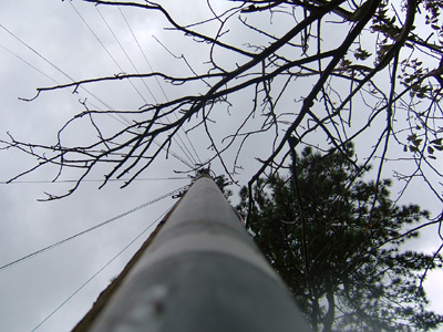 DSCF5040