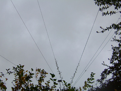 DSCF5212