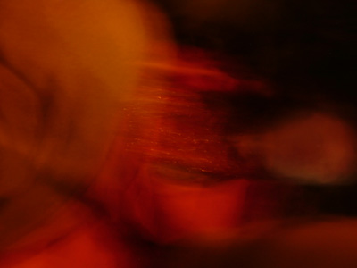 DSCF5813