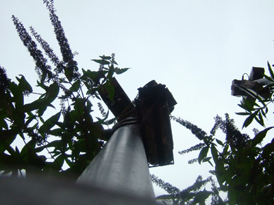 DSCF6108