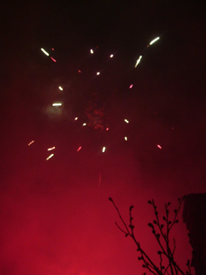 DSCF6155