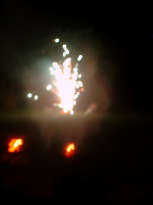 DSCF6195