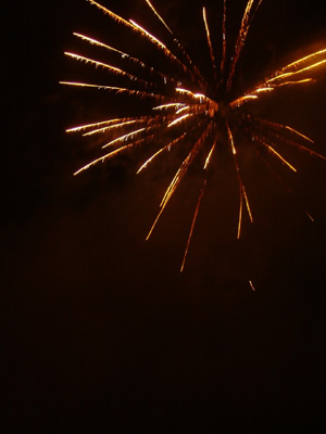 DSCF6219