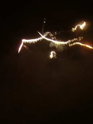 DSCF6229