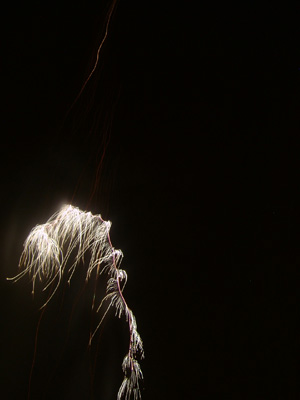 DSCF6236