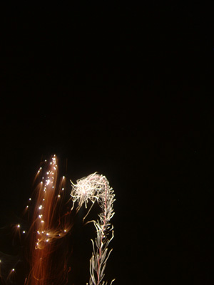 DSCF6237