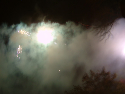 DSCF6239