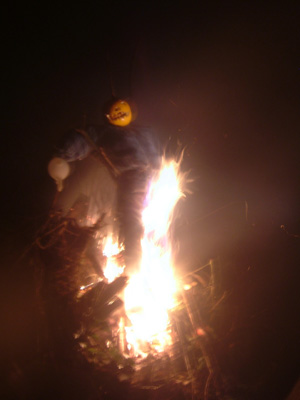 DSCF6268