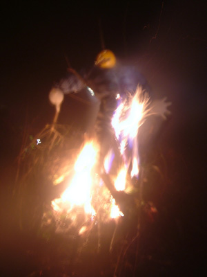 DSCF6269