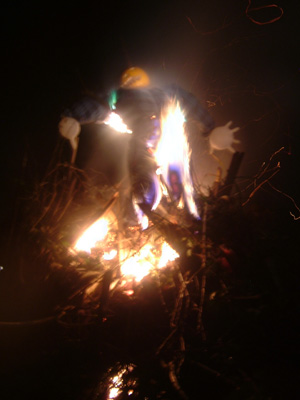 DSCF6270