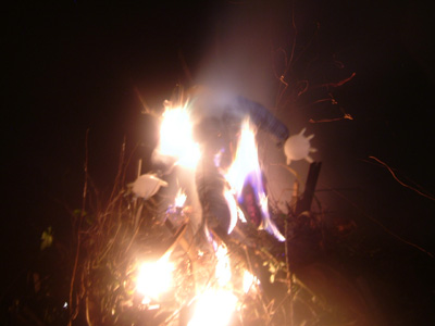 DSCF6271