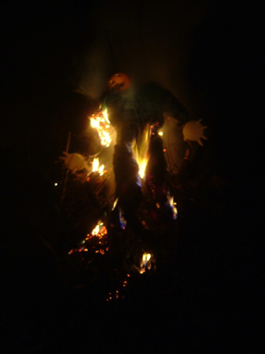 DSCF6272