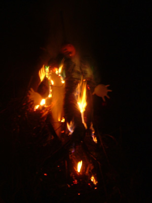 DSCF6274