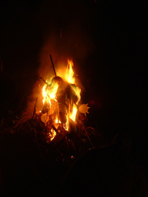 DSCF6275