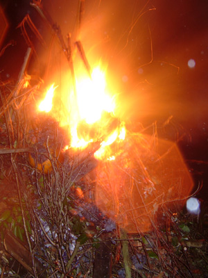 DSCF6288