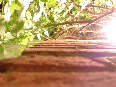 DSCF6304
