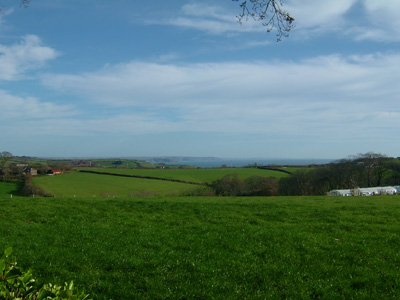 DSCF6998