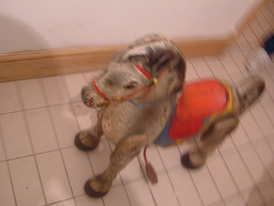 DSCF7565