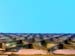 DSCF7986