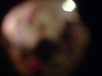 DSCF8303