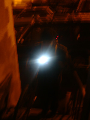 DSCF8459