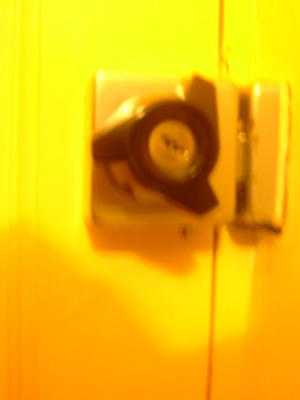 DSCF8629