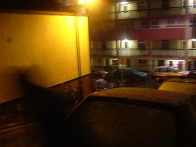 DSCF8631