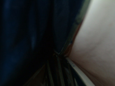 DSCF8670