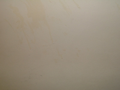 DSCF8689