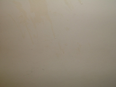 DSCF8691