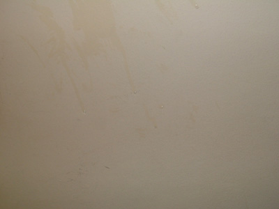 DSCF8693