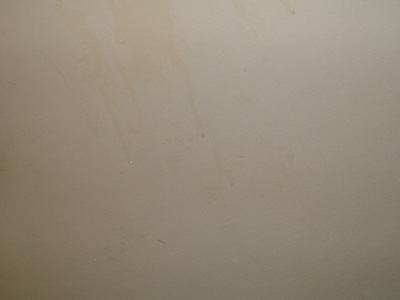 DSCF8694