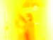 DSCF8608