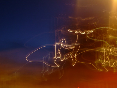 DSCF9065