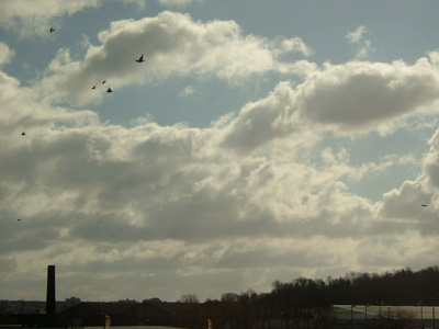 DSCF0870