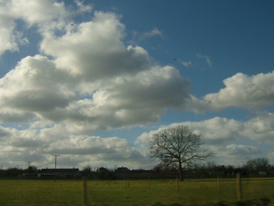 DSCF0884
