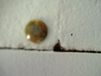 DSCF3057