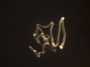 DSCF0815
