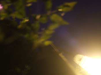 DSCF0816