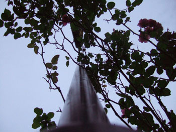 DSCF1104