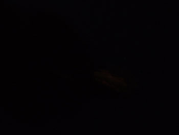 DSCF2403