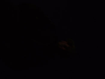 DSCF2404
