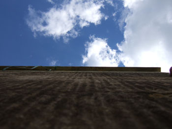 DSCF2449