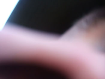DSCF2731